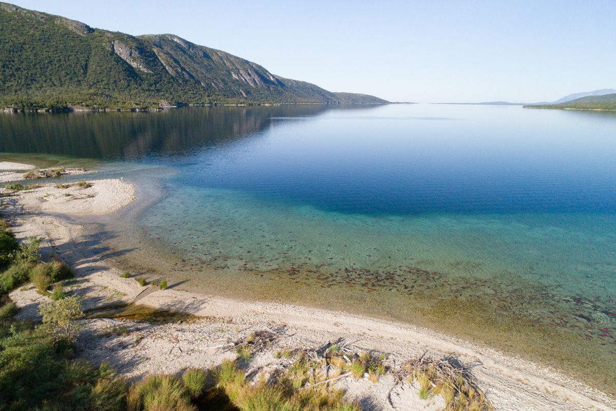 Knutson Bay. By Jason Ching