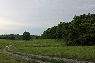 Antioch Park, Nashville