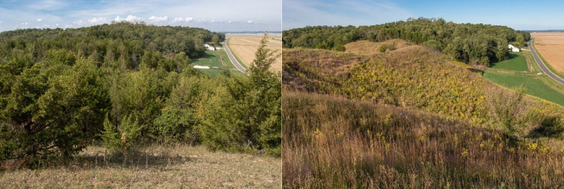 Before and after restoration