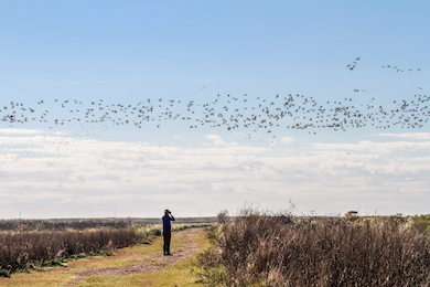 Julie Shackelford at Sabine Ranch. Photo by Shannon Tompkins.