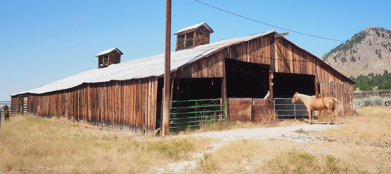 12 12 22 barn with horse