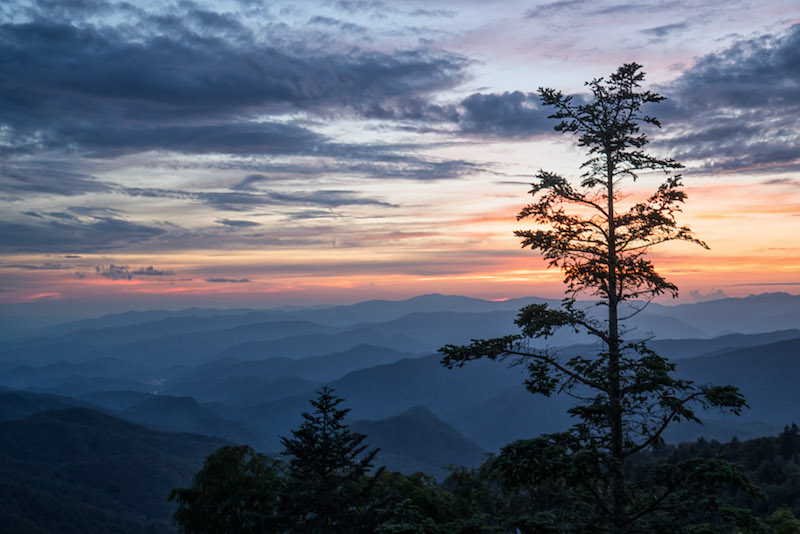 12 23 19 Image 5 Maggie Valley North Carolina c Steve Orr20160828 5 19