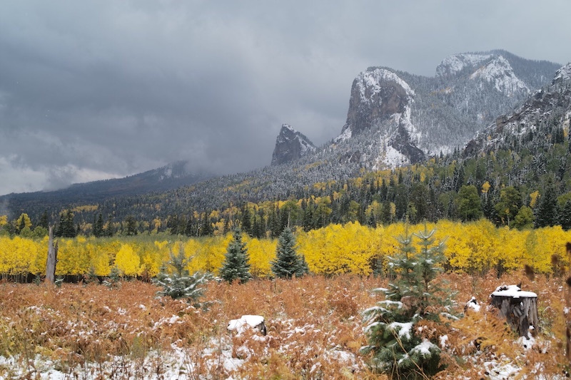 12 24 20 Banded Peak Ranch Photo by Tom Macy