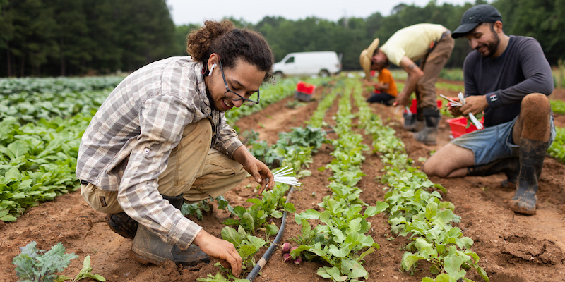 12 27 22 Working Farms Fund Love is Love c Addison Hill