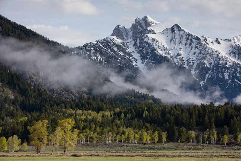 12 7 20 Grand Teton c David Stubbs