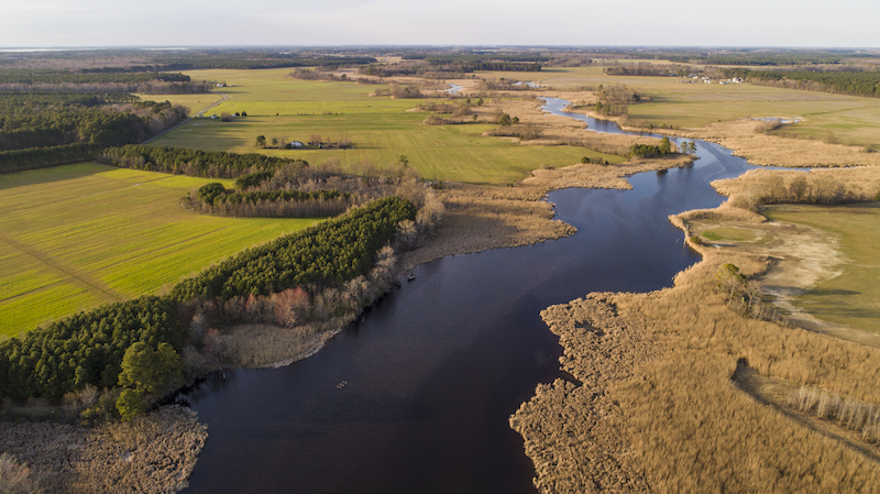 2018AnnualReport Harriet Tubman Rural Legacy Area MD c EcoPhotography201904058 7