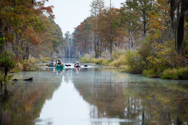 2 6 Okefenokee Georgia StacyFunderburke010