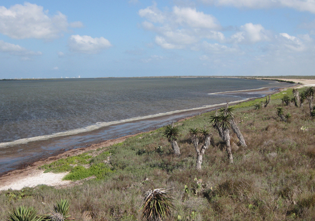3 1 19 Laguna Atascosa NWR c Vince Smith 640x480 copy copy