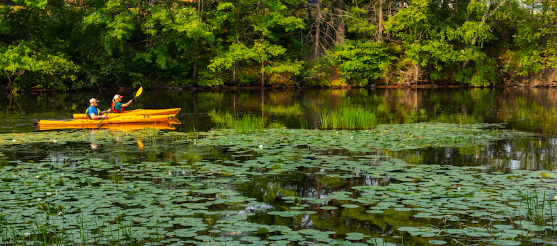 Pelican River area in Wisconsin- The Conservation Fund