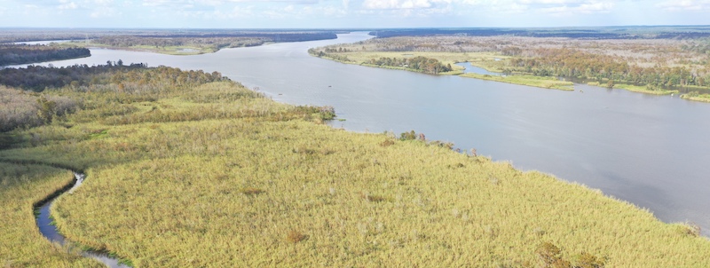4 5 21 Arial view of the Blakeley Bluffs property courtesy of Keith West University of South Alabama 343