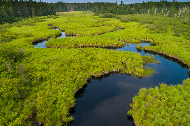 5 29 22 Pelican River Forest WI 054 c Jay Brittain