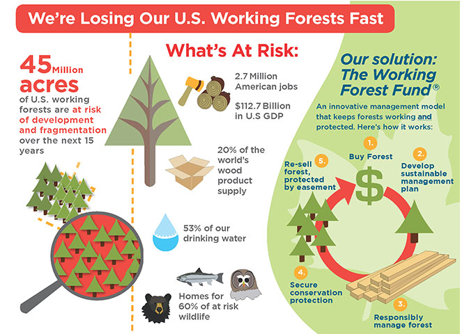 5 8 WFF infographic