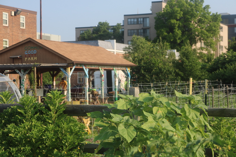 6 4 18 Common Good City Farm DC FMPP c Dagny Leonard 1531