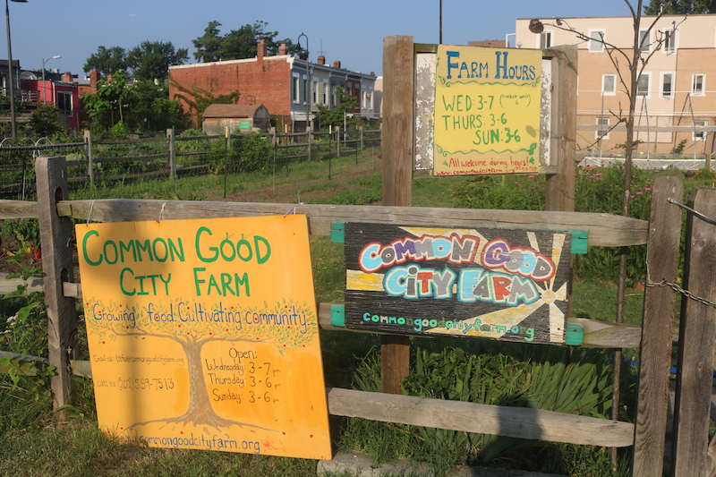 6 4 18 Common Good City Farm DC IMG 1514