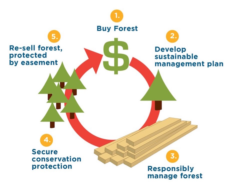 6 5 Anatomy of a Deal