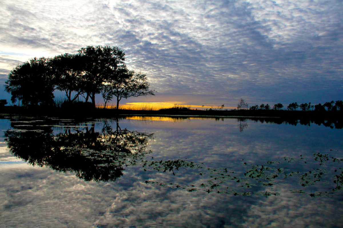 Sabine Ranch. Photo by Shannon Tompkins.