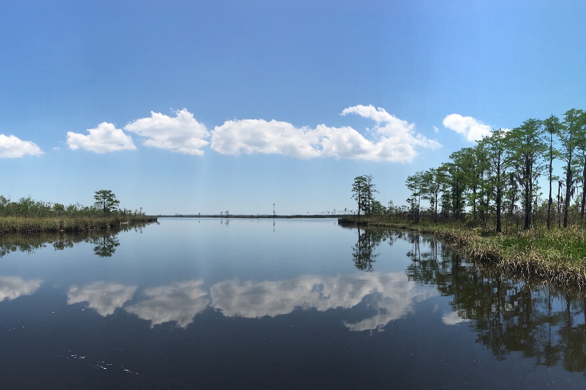 Perdido River. Photo by Florida Fish and Wildlife Conservation Commission's Fish and Wildlife Research Institute/Flickr. 