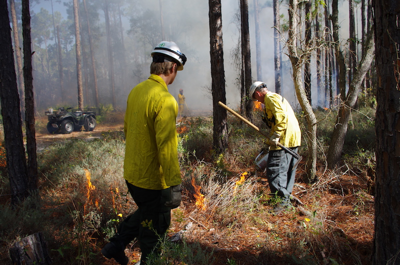 9 28 20 USNavyFLPrescribedBurnFiring