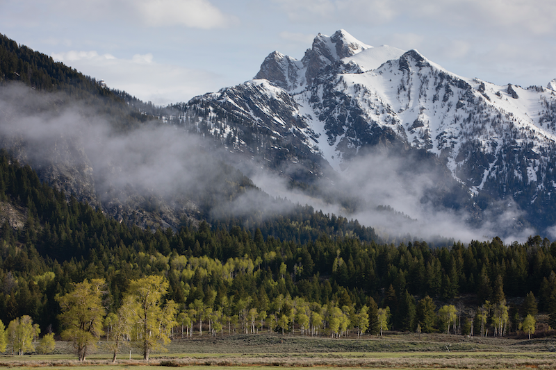 AR 2020 Blog Grand Teton