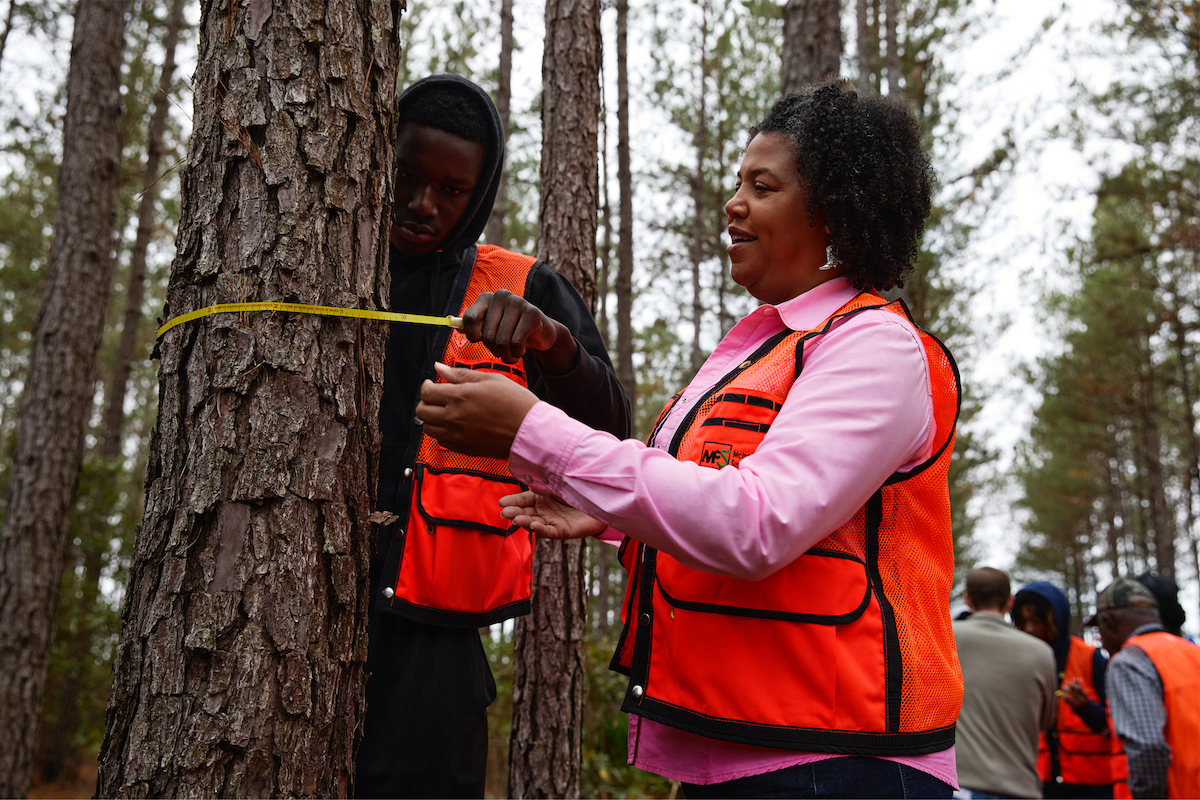 A man and a woman wearing orange vests take measurements of a tree trunk using a yellow tape measure.