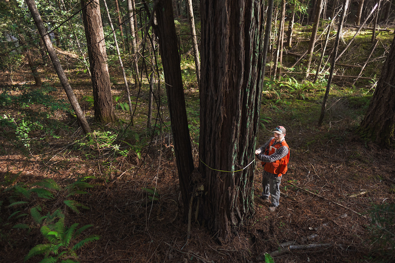 EarthDay2020 North Coast CA Ivan LaBianca20200219 WorkingForestFund 19