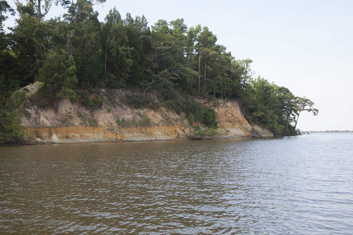 Blakeley Bluff overlooking the Tensaw River. Photo by Beth Maynor Finch.