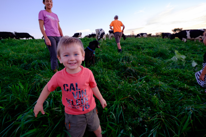 GIvingTuesday Greenseams Heidel Baker Farm c Ivan LaBianca 120161018 0 14