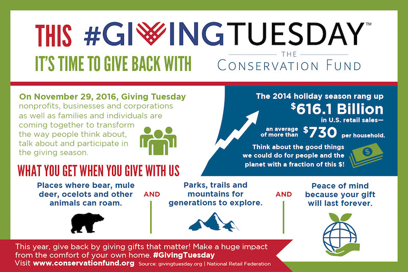 Giving Tuesday postcard 2016 