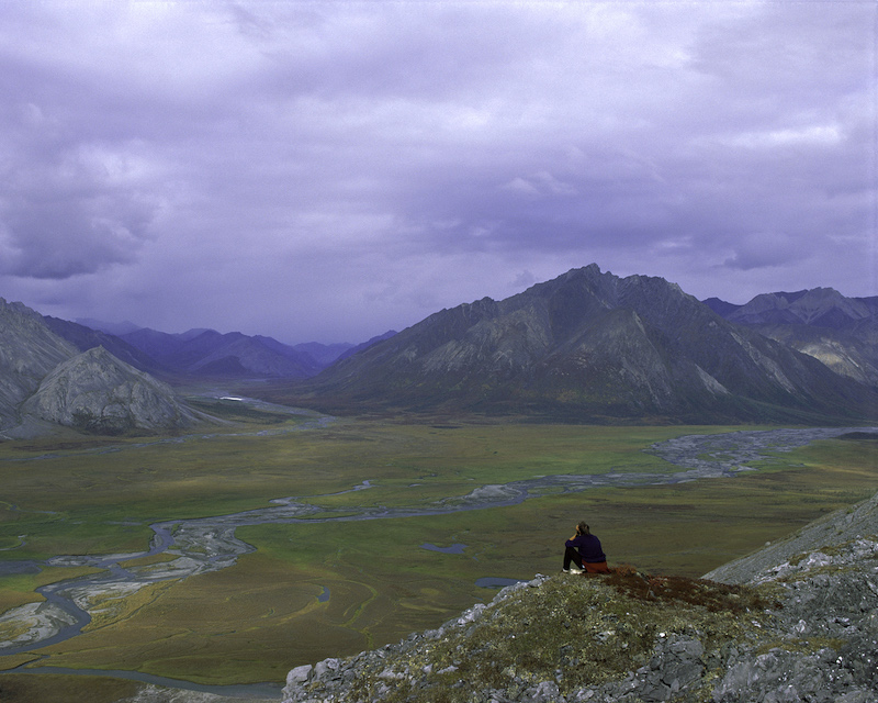 JayWagley ArcticNationalWildlifeRefuge Alaska USFWS 01