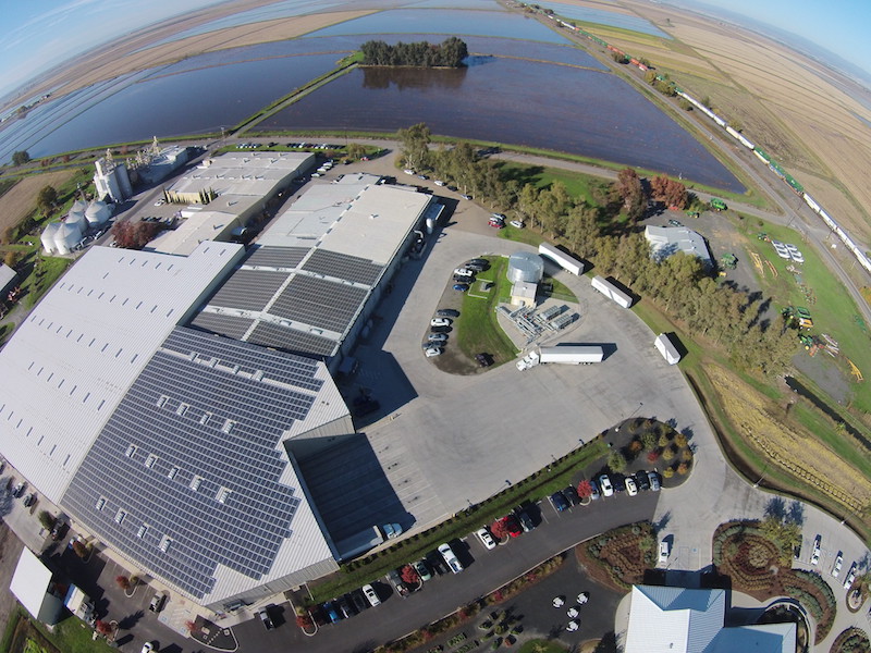 Lundberg Solar panels on our warehouses