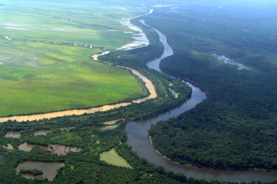 Ouachita GoZero USFWS001