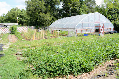 A GRRO micro-farm