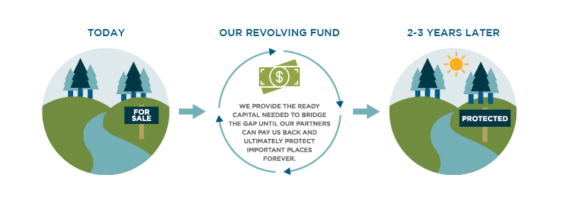 Revolving FUnd Graphic copy