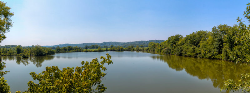 WA Cumberland River Matt Hicks