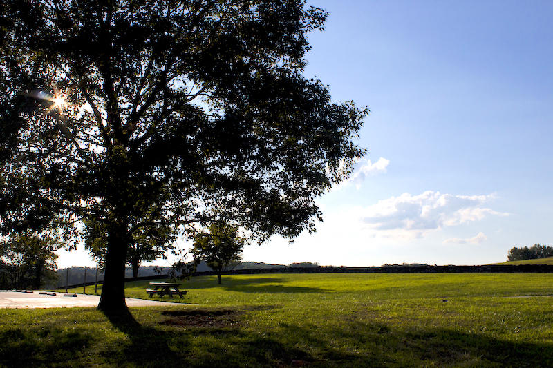 WoodlawnFirstStateNationalMonument Delaware WhitneyFlanagan 05