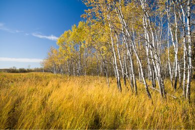 Camp Ripley Sentinel Landscape, Minnesota