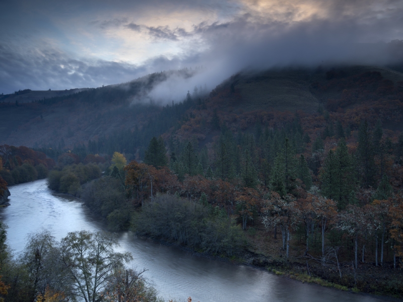 Columbia Gorge Forest Washington Oregon image