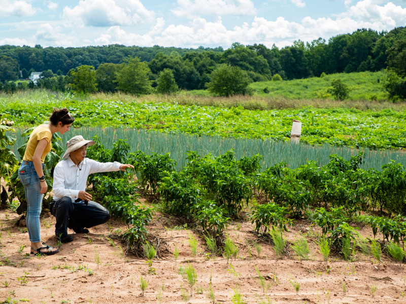 Community and Economic Resilience