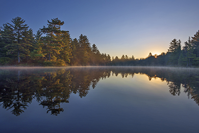 Green Bonds Accelerate the Conservation of  Working Forests  