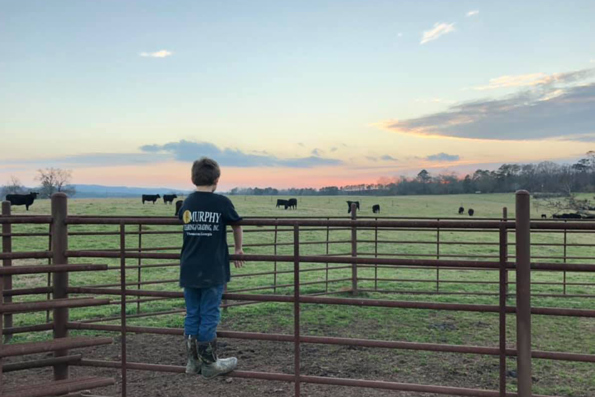 Goodwin Family Farms (GF Farms) 