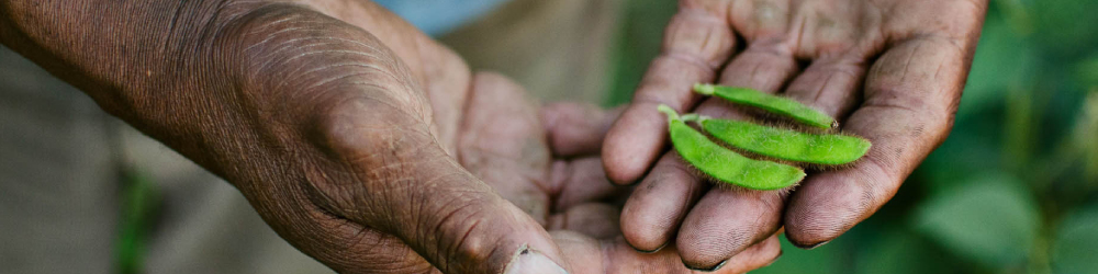 Helping Small Farmers