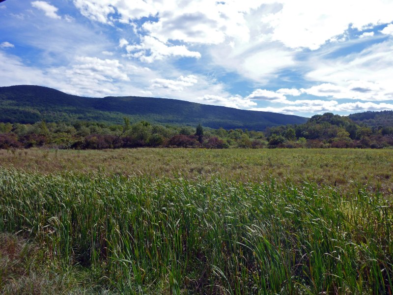 LWCF Blog Cherry Valley