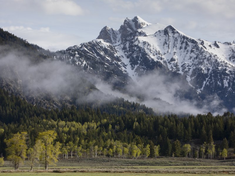 LWCF Blog Teton