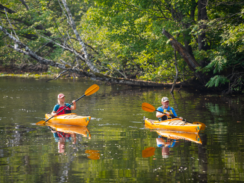 Pelican River Forest