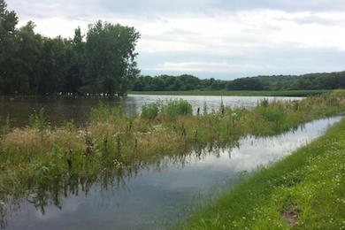 Prairie Hills Wetland Reserve. Photo by Megan Pierce.