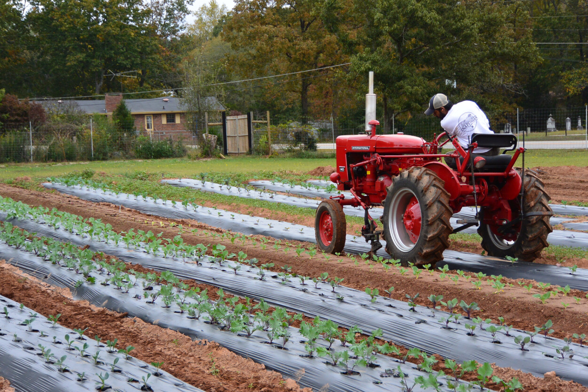 Snapfinger Farm