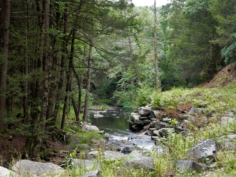 Ten Mile River NY 2022 003 c Michael Lennon