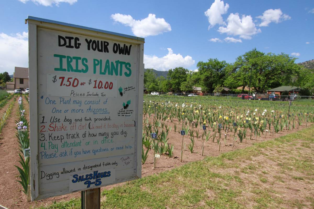 The Last Urban Farm in Boulder Remains