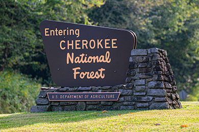 Cherokee National Forest. Photo courtesy of VW.