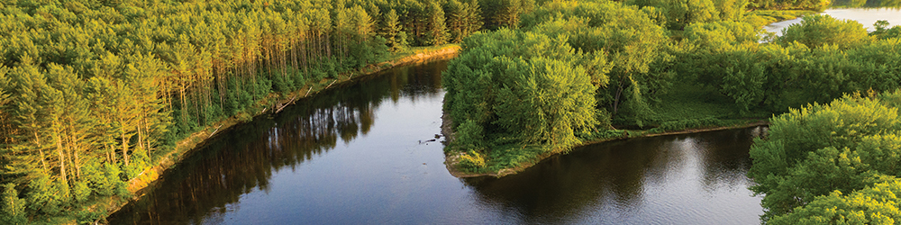 Saving Exceptional Forests